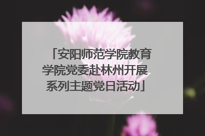 安阳师范学院教育学院党委赴林州开展系列主题党日活动